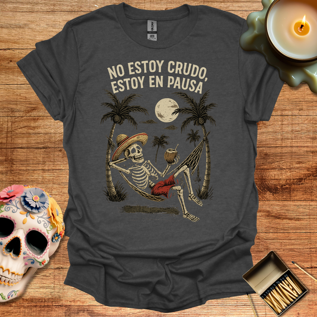 No Estoy Crudo, Estoy en Pausa